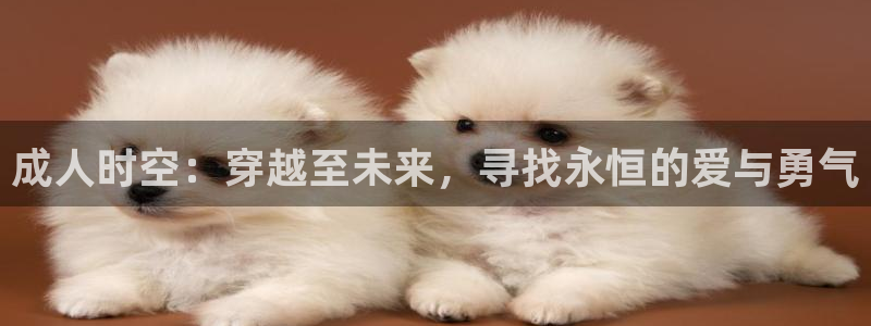 新视觉飘零影院：成人时空：穿越至未来，寻找永恒的爱与勇气