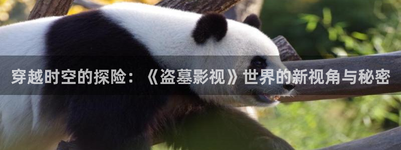 新视觉y6080：穿越时空的探险：《盗墓影视》世界的新视角与秘密