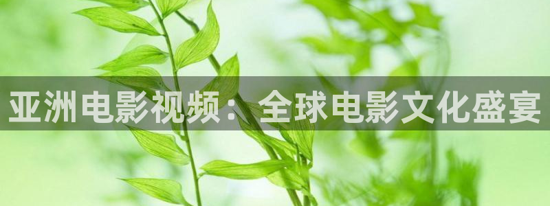 6080新视觉影院理论：亚洲电影视频：全球电影文化盛宴
